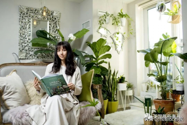 被疫情困太久，歐美年輕人開始瘋狂囤積綠植，借錢都要買？