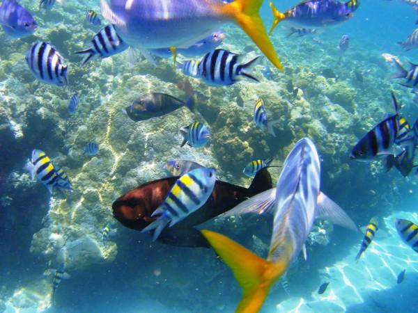 人間十大仙境！絕美，攝人心魂！神奇的大自然