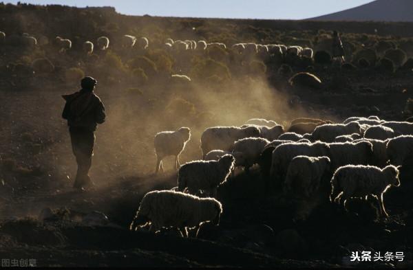 烏合之眾——迷之自信 烏合之眾——迷之自信