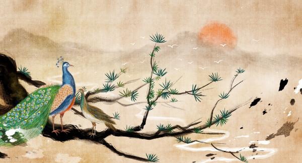 手機桌布‖美麗的孔雀