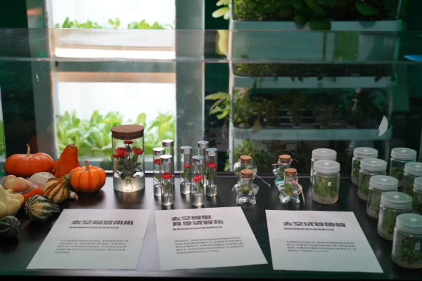 共同體號宇宙飛船即將起航，歡迎登入元宇宙~