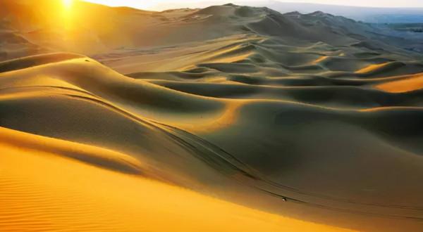 秋天的新疆，美成了桌布