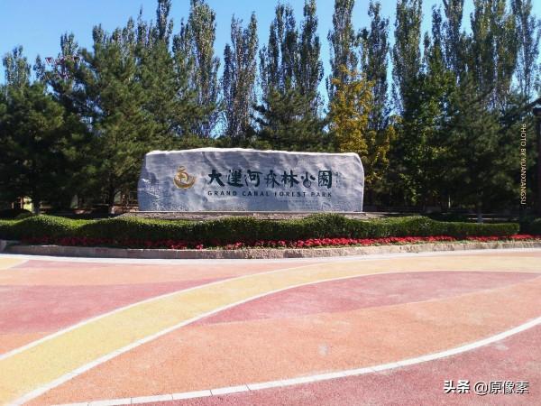 金秋十月，騎行大運河森林公園