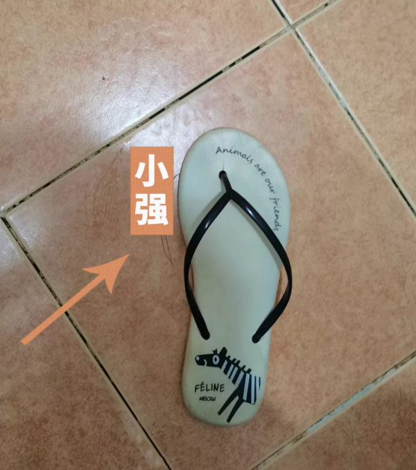 廣東人的底線:再冷也要穿人字拖 廣東人的底線:再冷也要穿人字拖