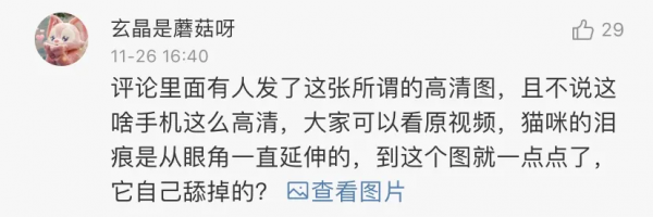 所以於正劇組虐貓了嗎