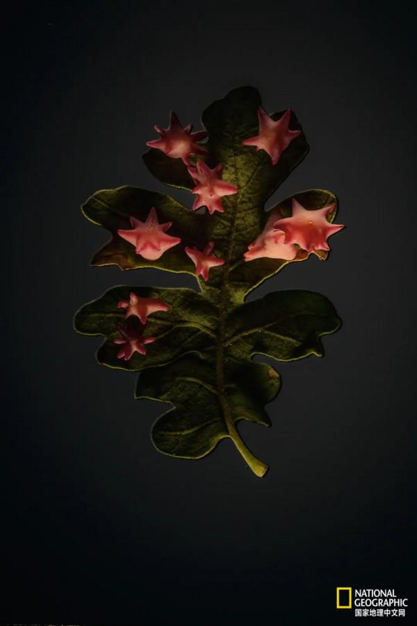 為什麼要保護這麼卑鄙的東西? 為什麼要保護這麼卑鄙的東西?