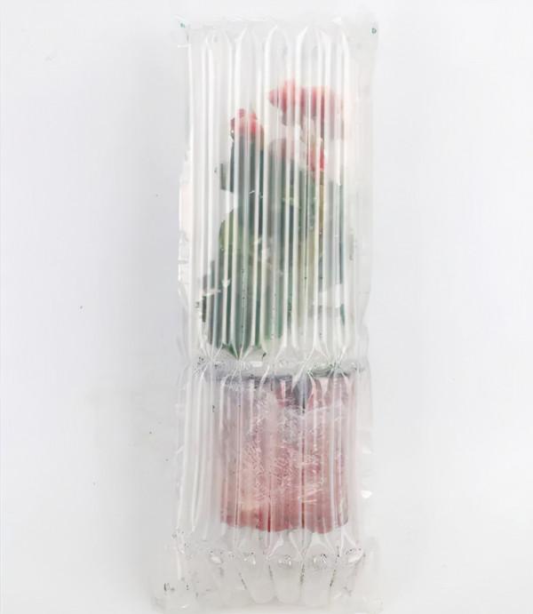 秋冬養盆麗格海棠,花朵像牡丹,有金玉滿堂好兆頭 秋冬養盆麗格海棠,花朵像牡丹,有金玉滿堂好兆頭