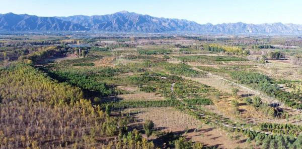 延慶再添“城市綠肺”~康西森林溼地公園“上線”