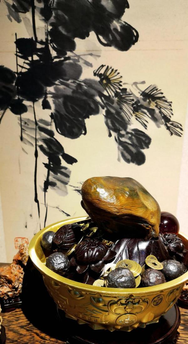 奇石《律動的金蟾》立意和鑑賞