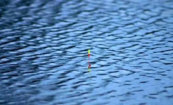 浮漂顯示有魚咬鉤,提竿總是無魚,究竟哪裡出了問題? 浮漂顯示有魚咬鉤,提竿總是無魚,究竟哪裡出了問題?