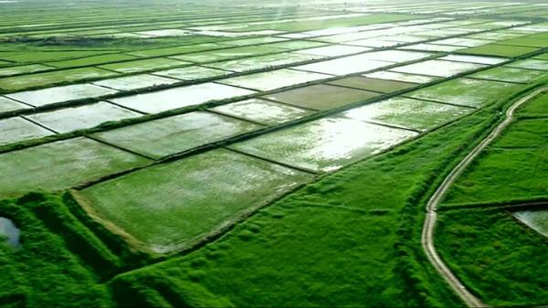 52年毛澤東視察黃河,一六旬老太趕來詢問:主席,斯大林咋沒來? 52年毛澤東視察黃河,一六旬老太趕來詢問:主席,斯大林咋沒來?