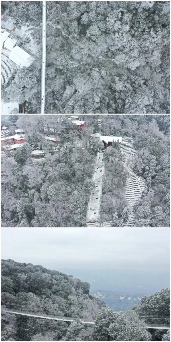 元旦最強攻略出爐！小眾美景、愜意度假、全家出遊都有，拿走去耍