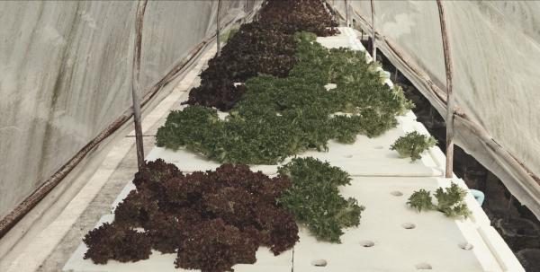 逆天奇案:查了4年都不知道兇手是誰,最後憑一張小紙條發現真相 逆天奇案:查了4年都不知道兇手是誰,最後憑一張小紙條發現真相