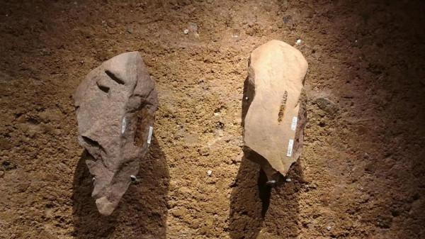 從博物館到菜市場