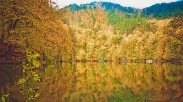 五彩斑斕的風景等你來