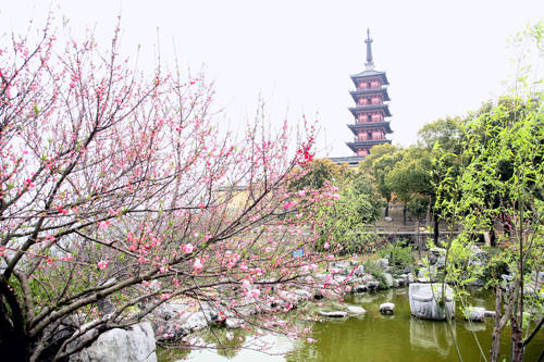 106張照片，美到眼睛移不開