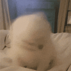 蘋果的七大罪，吃相真的很難看（上集）