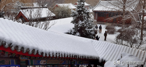 難覽觀園全畫景 雪覆臘梅一隅香&mdash;&mdash;踏雪尋遊北京大觀園