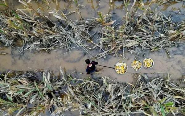 《雨秋》小小說