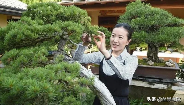 山田香織，一個小女子，卻把盆景玩轉世界各地