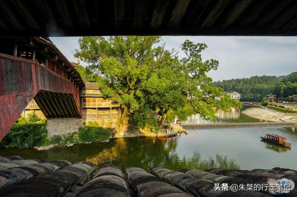 自駕“廊橋之鄉”泰順,二天一夜泗溪攻略,建議收藏 自駕“廊橋之鄉”泰順,二天一夜泗溪攻略,建議收藏