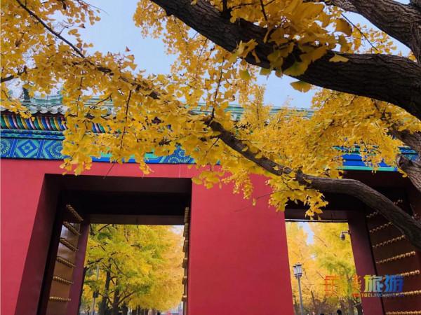 在地壇送別晚秋 在地壇送別晚秋