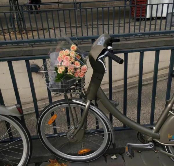 背景圖｜不能告訴她 世界上沒有奧特曼