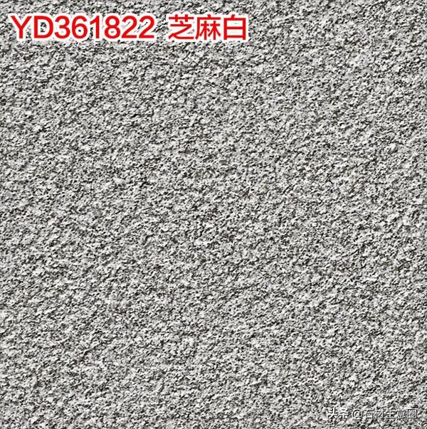 生態地鋪石欣賞