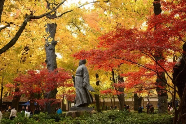 11月，國內這9個絕美山水之地，美成了一幅畫！隨手一拍都是桌布