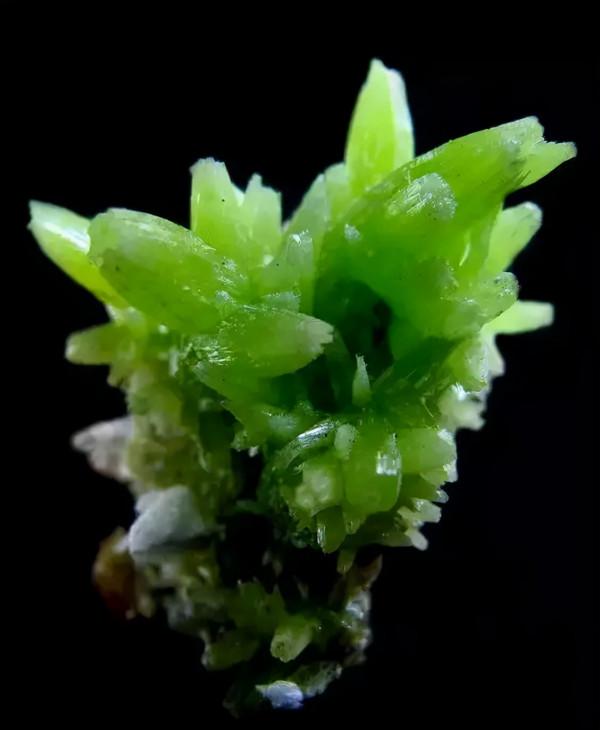 養眼的石頭,百看不厭 養眼的石頭,百看不厭