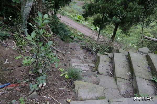 別樣的中秋（短篇小說）