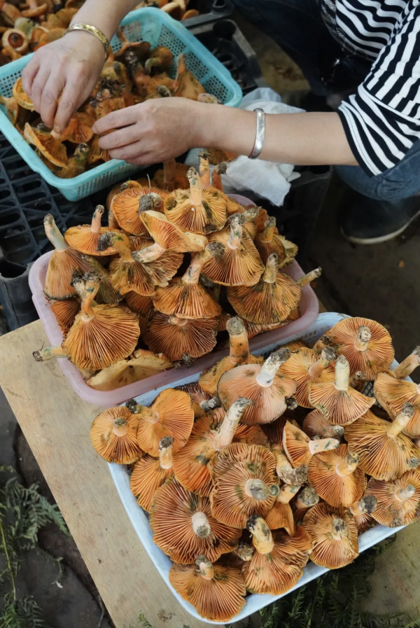 1小時飛攏的城市,有全國最好逛的市場 1小時飛攏的城市,有全國最好逛的市場