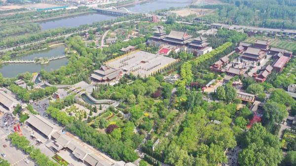 問我祖籍在何處，山西洪桐大槐樹