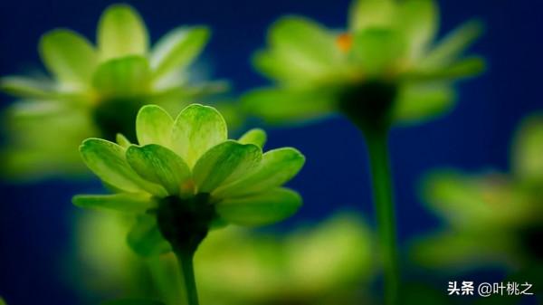 人到中年，別隨便佔“便宜”