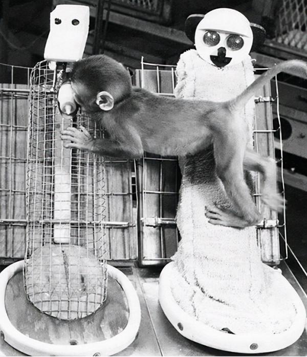 他哭任他哭，我看任我看，新育兒觀念？