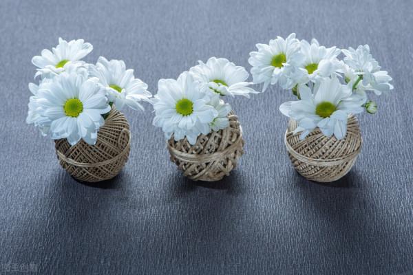 活在這世上,一定要明白這個道理:靠人不如靠己 活在這世上,一定要明白這個道理:靠人不如靠己