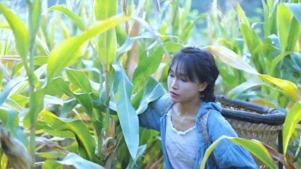 李子柒傳播的十大東方文化十首詩（前五），她與薇婭你更喜歡誰？