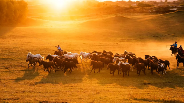 2021年國內旅行時間表出爐！承包你一整年的旅行