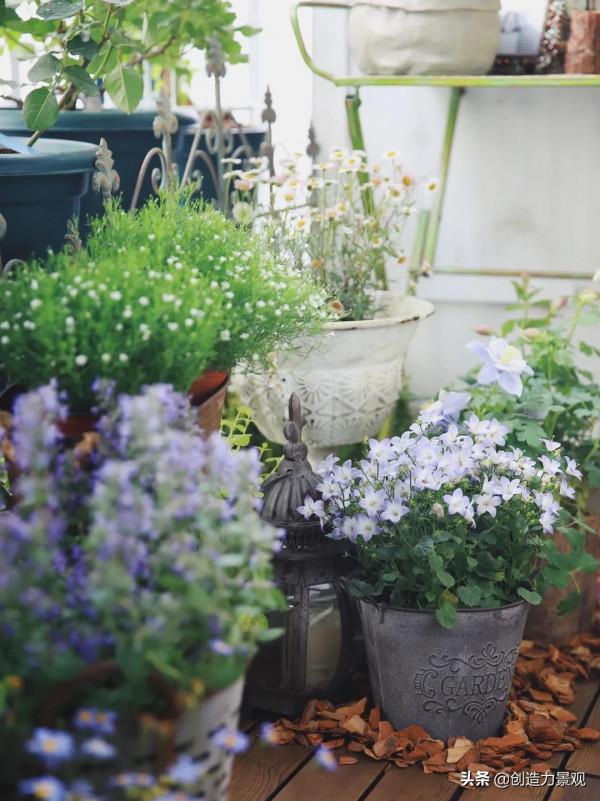 5平米的陽臺，改造之後種滿了花，居然可以美成這樣