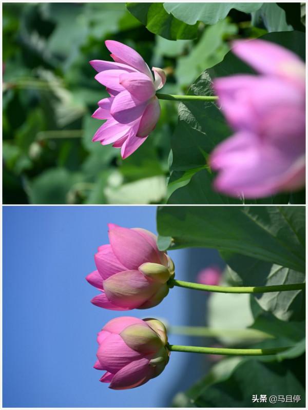 打卡1000多年古縣,集人文自然雙重景色,福建人的避暑勝地之一 打卡1000多年古縣,集人文自然雙重景色,福建人的避暑勝地之一