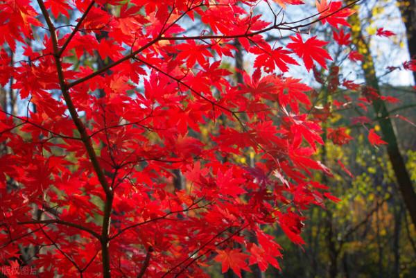 吉林冷知識：推薦吉林省20個世界之最和中國之最，你還知道哪些？