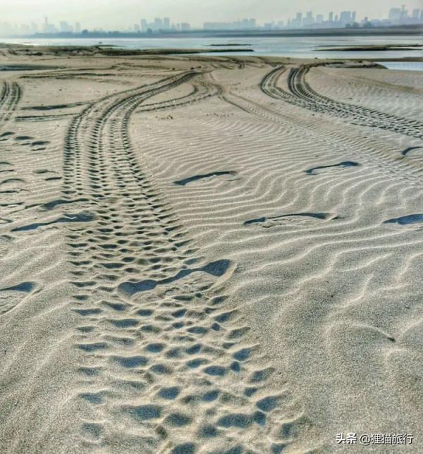 武漢最大島嶼——天興洲,是武漢的菜籃子,也是一片生態淨土 武漢最大島嶼——天興洲,是武漢的菜籃子,也是一片生態淨土