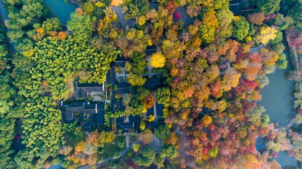 紅色才是中國秋天的主打色！這17處楓葉觀賞地，總有一個能驚豔你