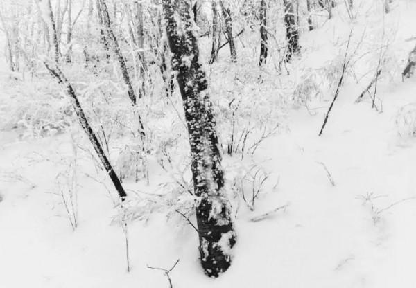 秦嶺古道探秘：水墨義谷古道