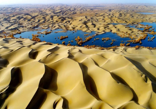 中國發明“神奇膠水”,能讓沙漠變成良田是真是假? 中國發明“神奇膠水”,能讓沙漠變成良田是真是假?