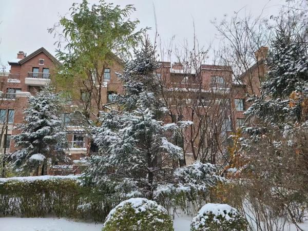 12月，致自己：加油！熬過去，就是光輝歲月