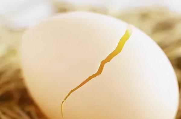 除了“土雞蛋”外，生活中的這2種雞蛋，儘量給孩子少吃