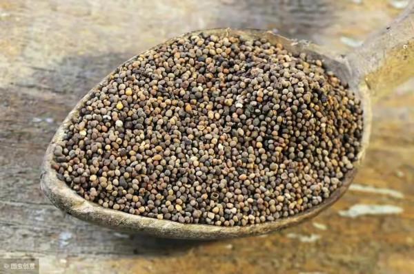 年紀未到，腰先老？送你三味藥，補肝腎益筋骨，腰痠背痛遠離我