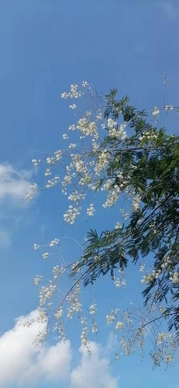 雲彩下的山城系列（四）