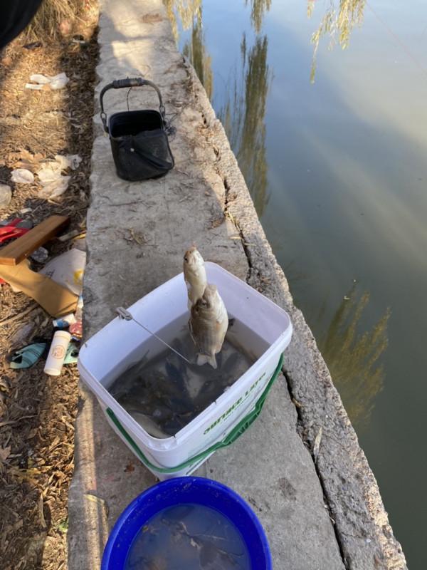 三五釣友相聚小清河，有說有笑豈不美哉